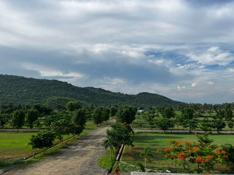  Residential Plot 200 Sq. Yards for Sale in Kothavalasa, Visakhapatnam