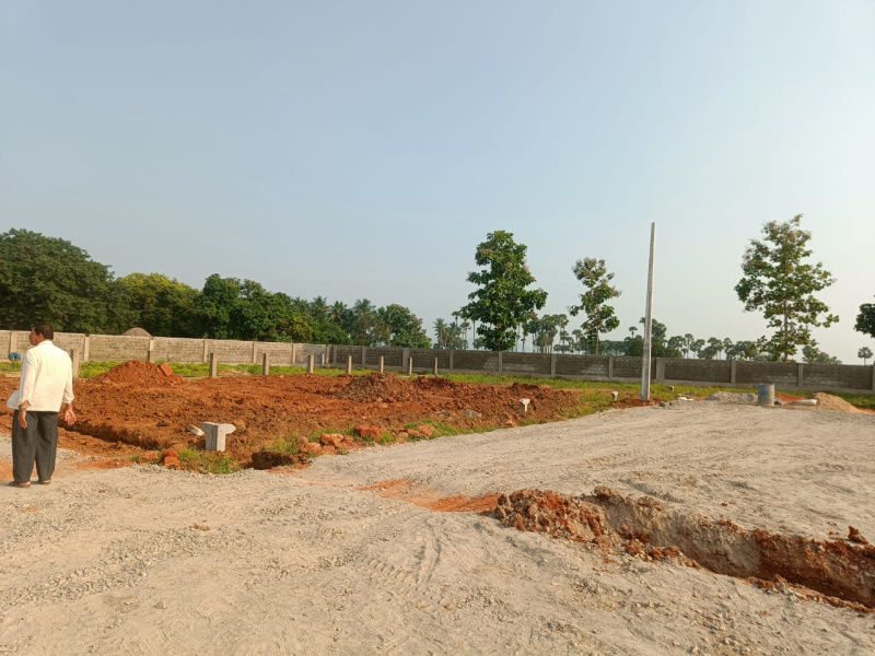  Residential Plot 146 Sq. Yards for Sale in Bhogapuram, Visakhapatnam