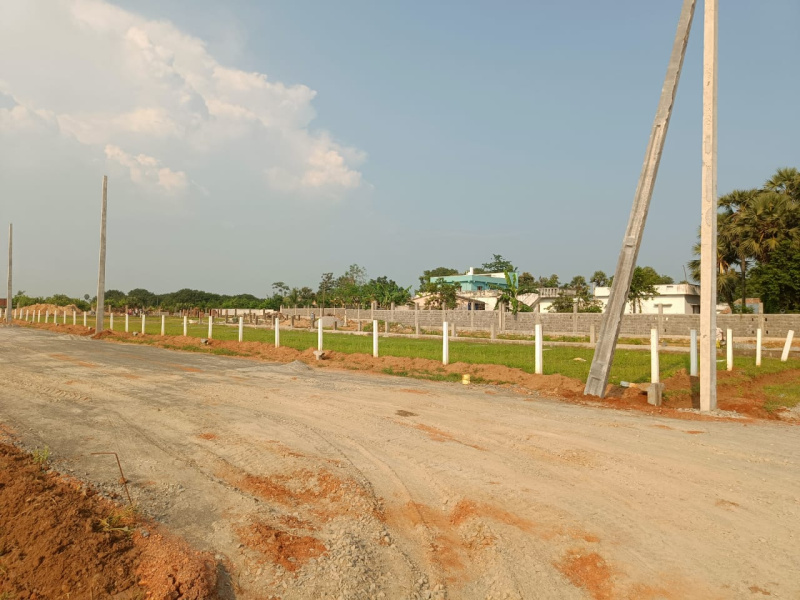  Residential Plot 146 Sq. Yards for Sale in Bhogapuram, Visakhapatnam