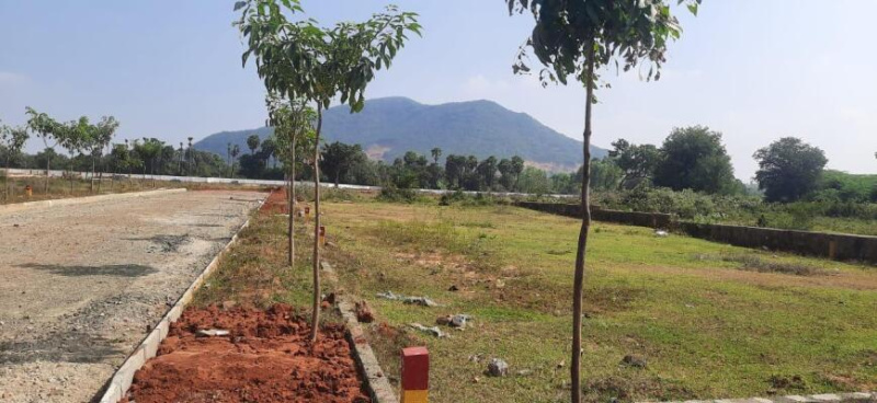  200 Sq. Yards Residential Plot for Sale in Kothavalasa, Visakhapatnam