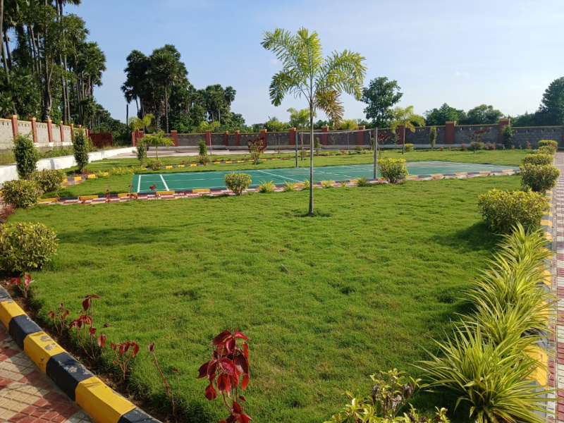  200 Sq. Yards Residential Plot for Sale in Chelluru, Vizianagaram