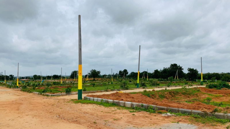  167 Sq. Yards Residential Plot for Sale in Anandapuram, Visakhapatnam
