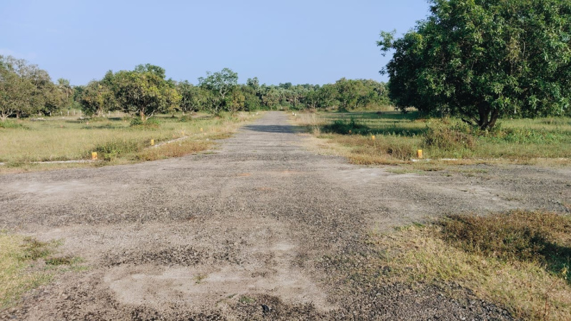  100 Sq. Yards Residential Plot for Sale in S Kota, Visakhapatnam