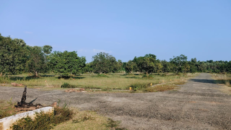  100 Sq. Yards Residential Plot for Sale in S Kota, Visakhapatnam