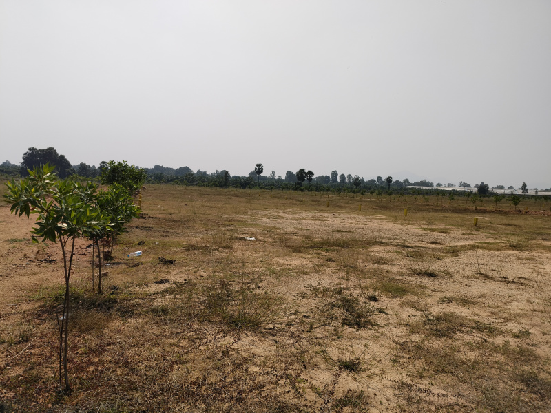  600 Sq. Yards Residential Plot for Sale in Kamakshi Nagar, Vizianagaram