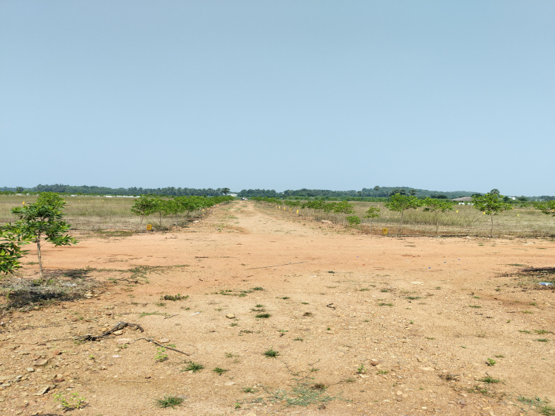  600 Sq. Yards Residential Plot for Sale in Kamakshi Nagar, Vizianagaram
