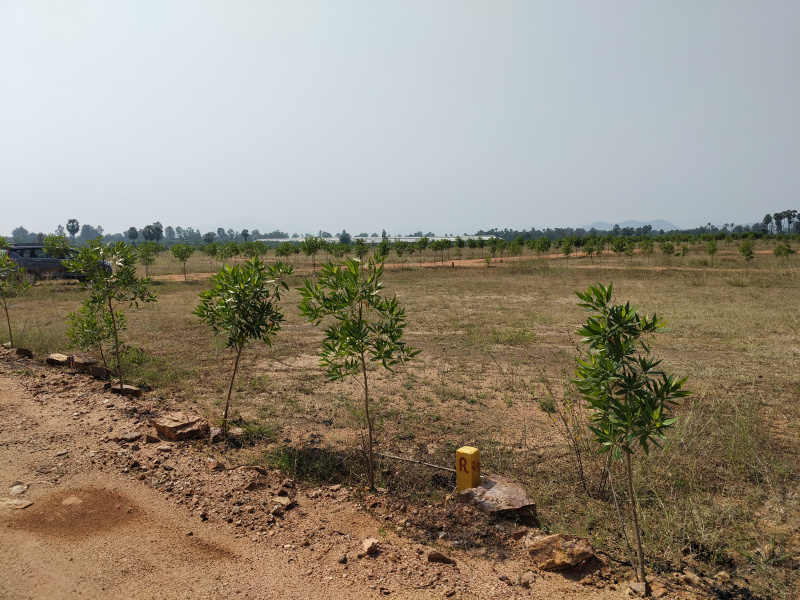  600 Sq. Yards Residential Plot for Sale in Kamakshi Nagar, Vizianagaram