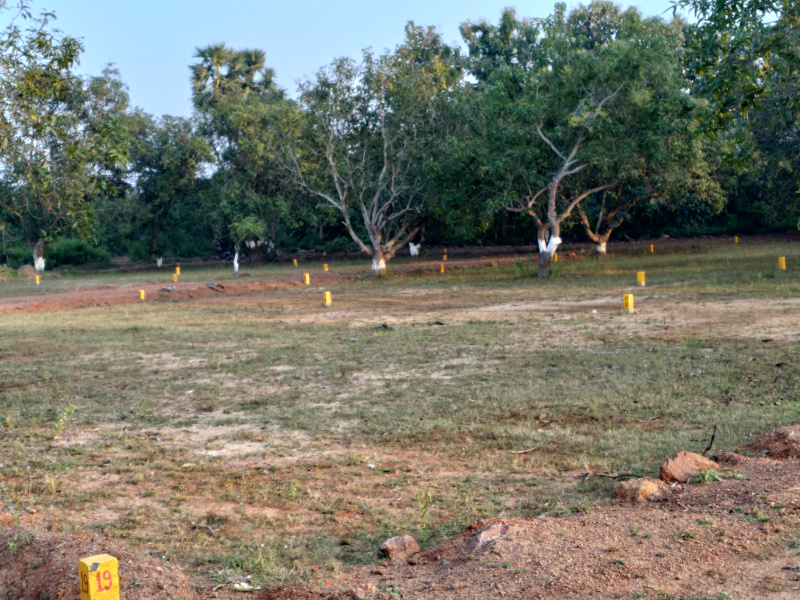  100 Sq. Yards Residential Plot for Sale in Padmanabham, Visakhapatnam
