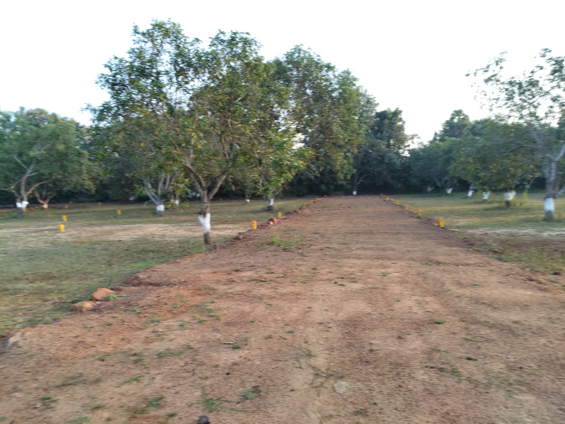  100 Sq. Yards Residential Plot for Sale in Padmanabham, Visakhapatnam