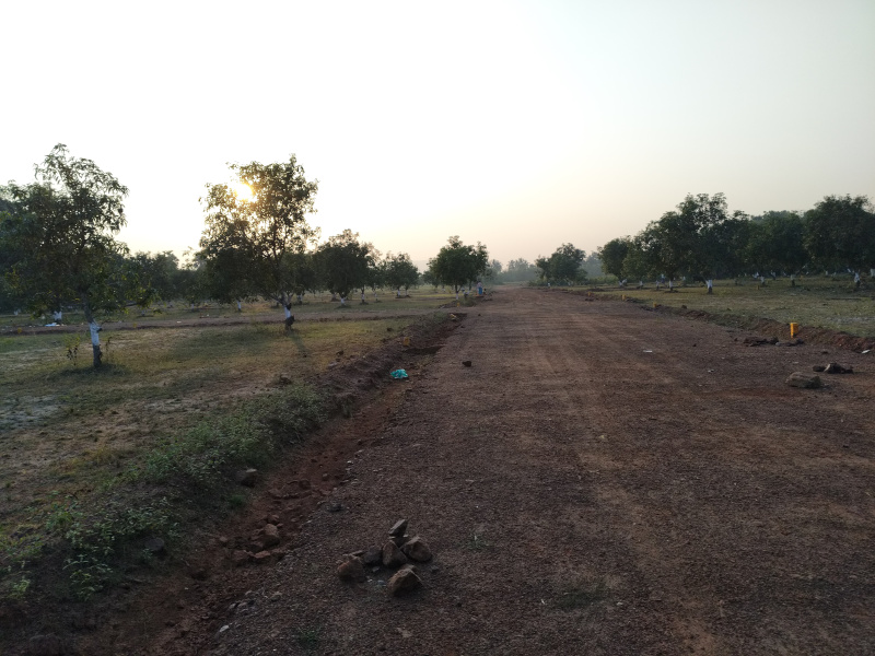  100 Sq. Yards Residential Plot for Sale in Padmanabham, Visakhapatnam