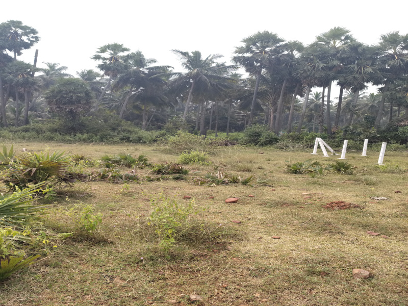  200 Sq. Yards Residential Plot for Sale in Bhogapuram, Visakhapatnam