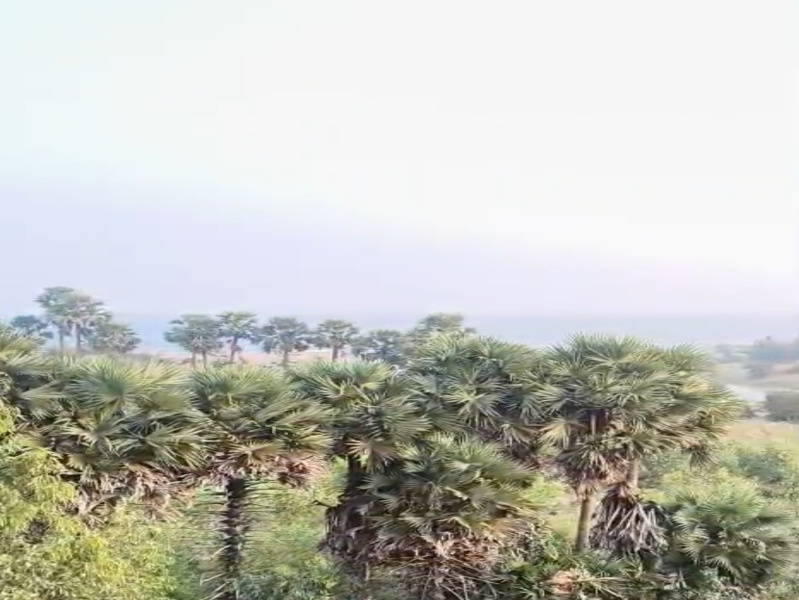  200 Sq. Yards Residential Plot for Sale in Bhogapuram, Vizianagaram