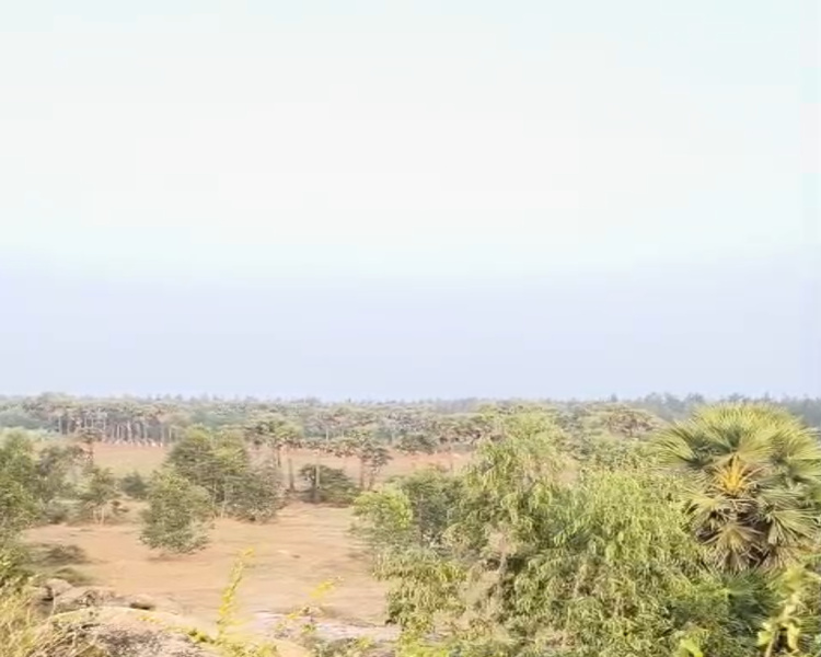  200 Sq. Yards Residential Plot for Sale in Bhogapuram, Vizianagaram