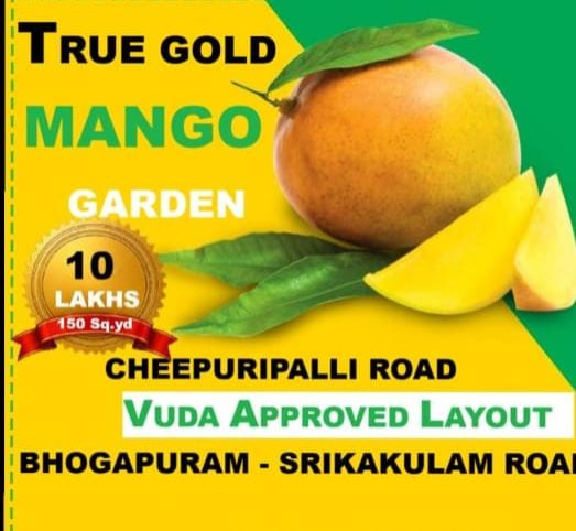  150 Sq. Yards Residential Plot for Sale in Chintalavalasa, Vizianagaram