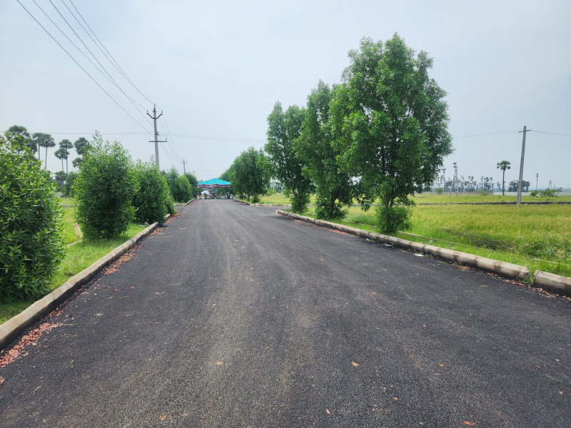  150 Sq. Yards Residential Plot for Sale in Chintalavalasa, Vizianagaram