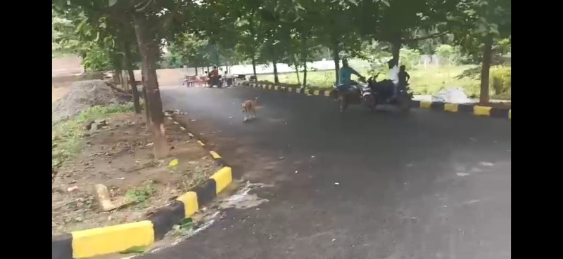  200 Sq. Yards Residential Plot for Sale in Sanghivalasa, Visakhapatnam