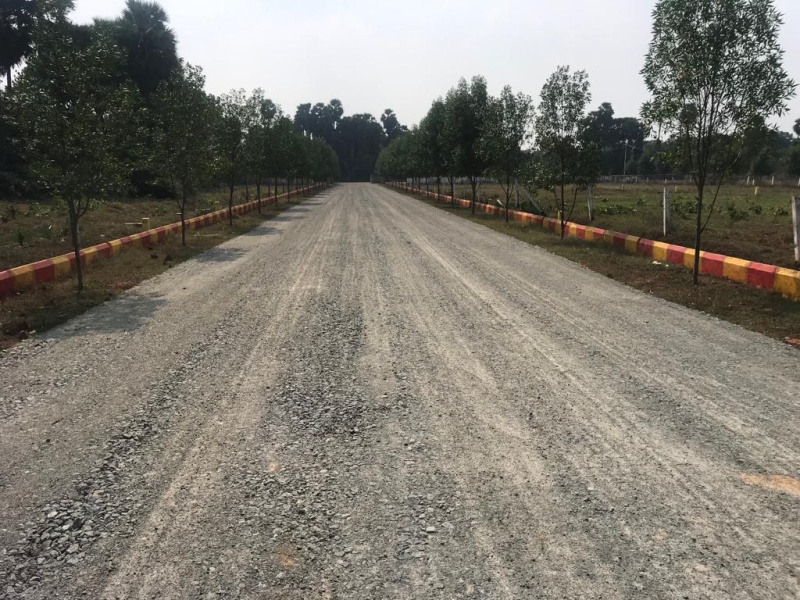  200 Sq. Yards Residential Plot for Sale in Bhogapuram, Vizianagaram