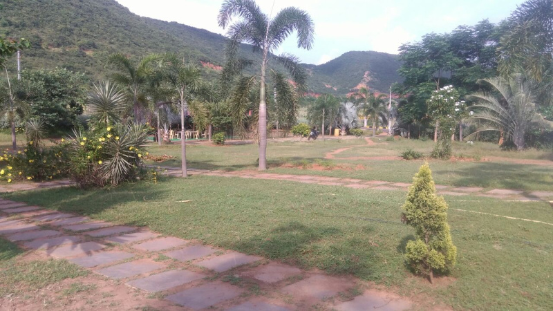  200 Sq. Yards Residential Plot for Sale in Kothavalasa, Visakhapatnam