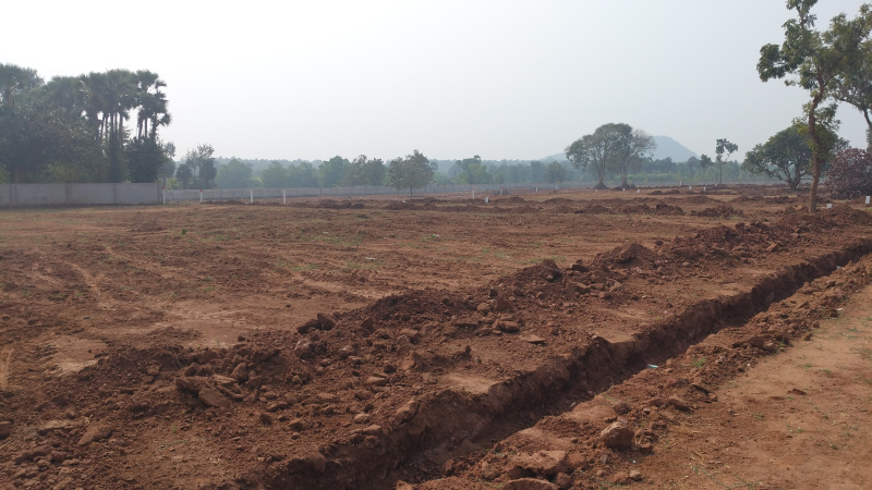  200 Sq. Yards Residential Plot for Sale in Bhogapuram, Visakhapatnam
