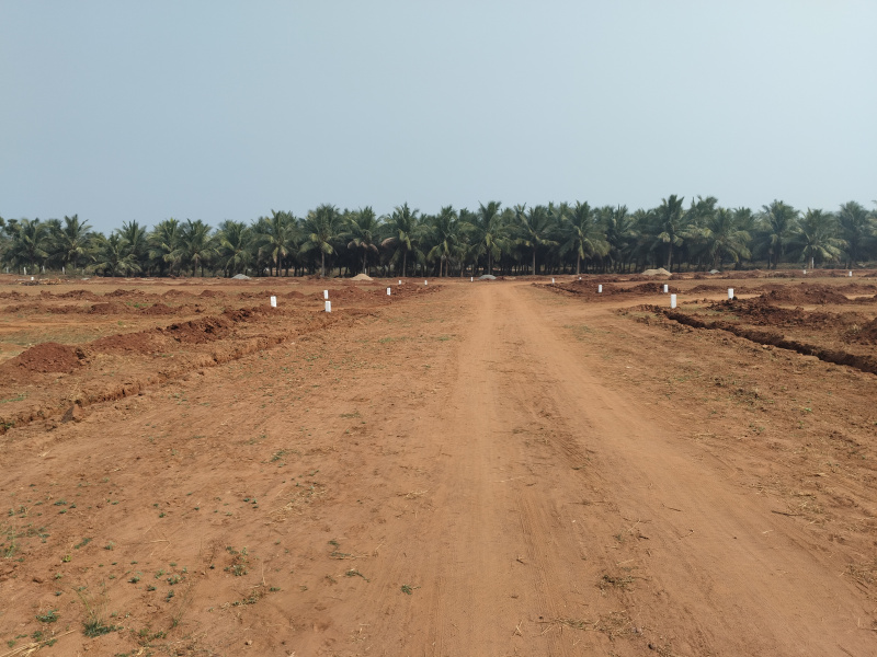  200 Sq. Yards Residential Plot for Sale in Bhogapuram, Visakhapatnam