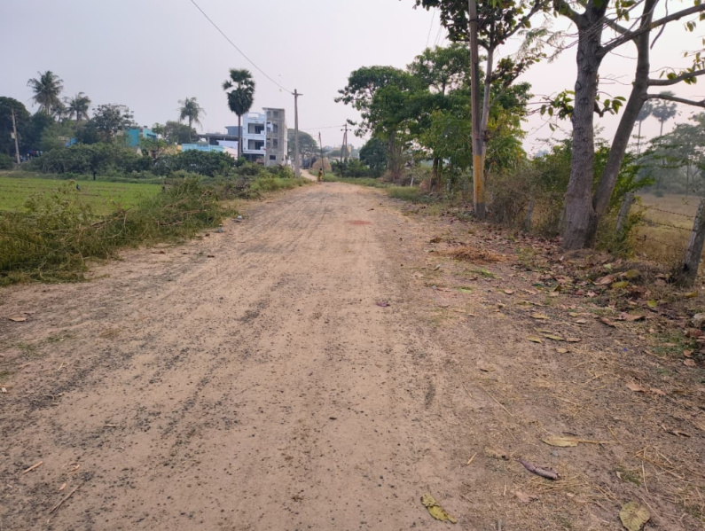  100 Sq. Yards Residential Plot for Sale in Tagarapuvalasa, Visakhapatnam