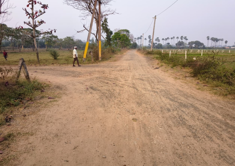  100 Sq. Yards Residential Plot for Sale in Tagarapuvalasa, Visakhapatnam