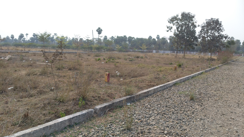  200 Sq. Yards Residential Plot for Sale in Achutapuram, Visakhapatnam