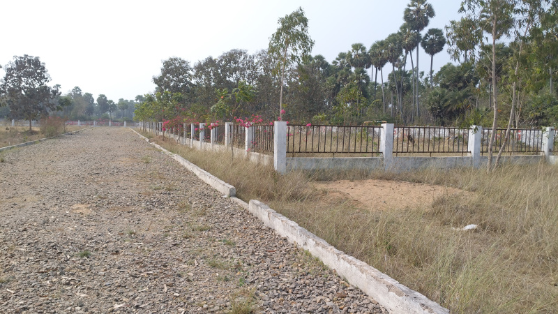  200 Sq. Yards Residential Plot for Sale in Achutapuram, Visakhapatnam