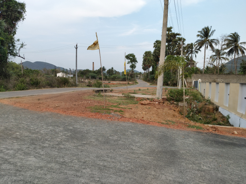  200 Sq. Yards Residential Plot for Sale in Kothavalasa, Visakhapatnam