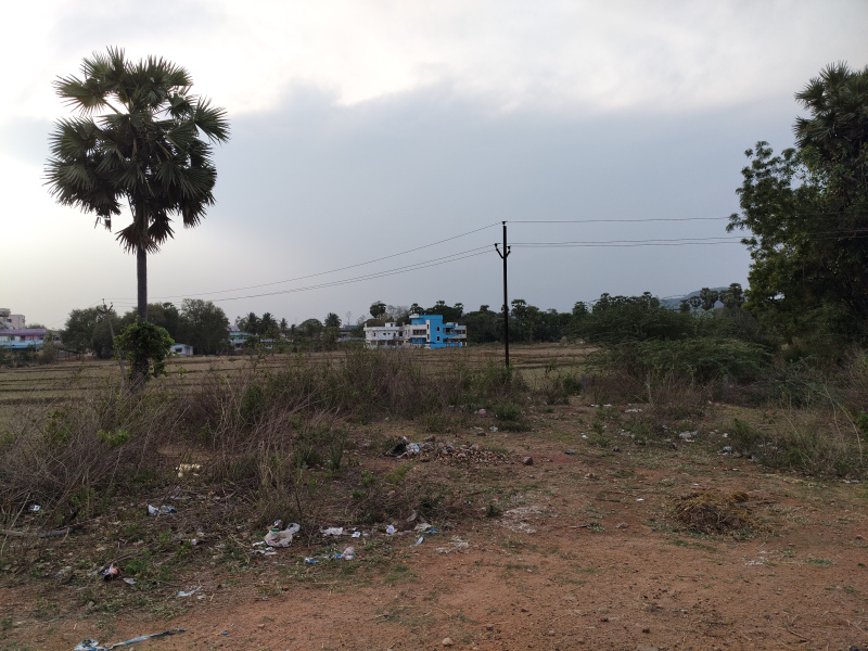  200 Sq. Yards Residential Plot for Sale in Kothavalasa, Visakhapatnam