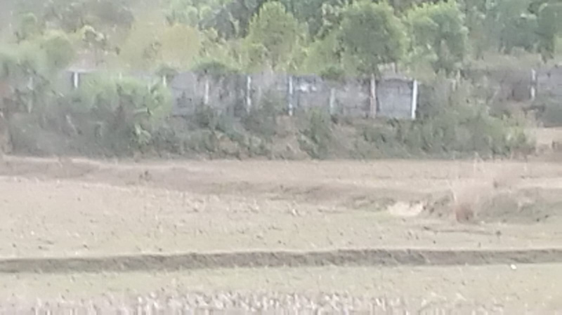  250 Sq. Yards Commercial Land for Sale in Jami, Vizianagaram