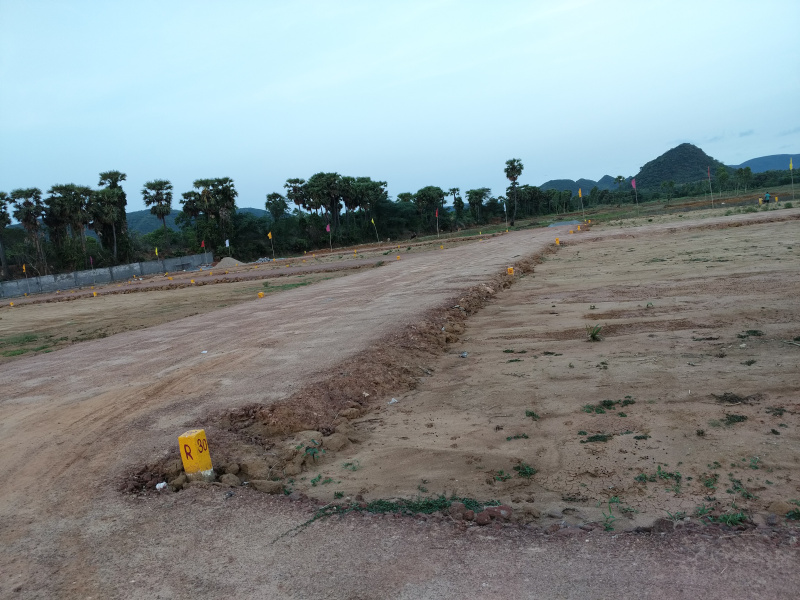  100 Sq. Yards Residential Plot for Sale in Chintapalle, Visakhapatnam