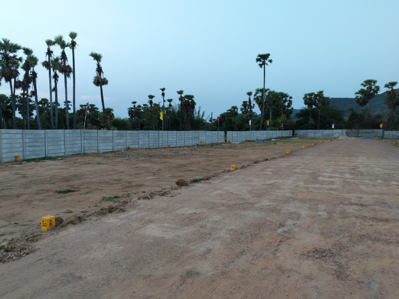  100 Sq. Yards Residential Plot for Sale in Chintapalle, Visakhapatnam