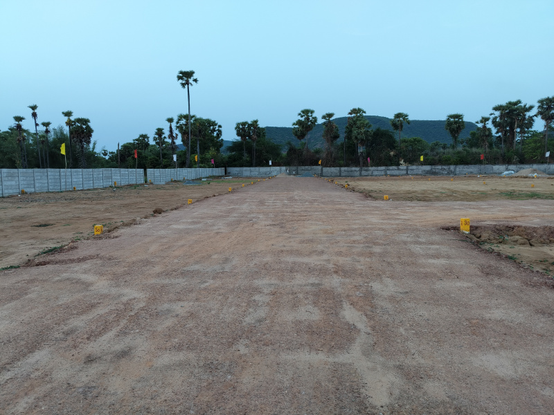  100 Sq. Yards Residential Plot for Sale in Chintapalle, Visakhapatnam