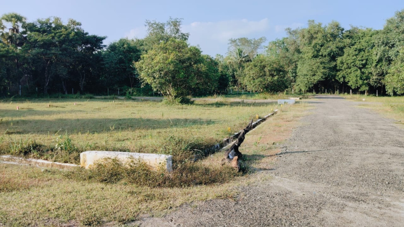  200 Sq. Yards Residential Plot for Sale in Peddipalem, Visakhapatnam, 