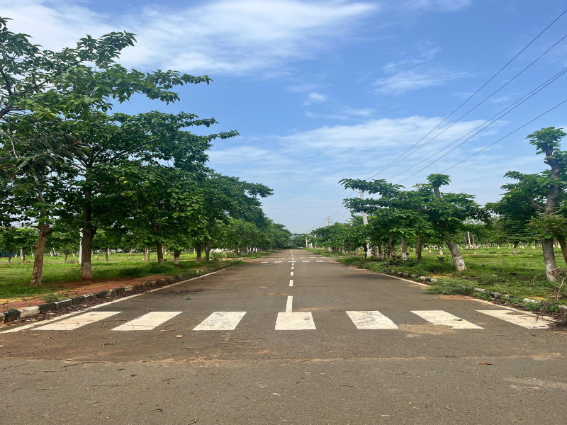 Bhogapuram, Vizianagaram photo 3