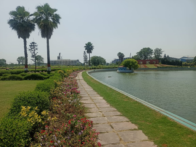 Rudrapur Udham, Udham Singh Nagar photo 4