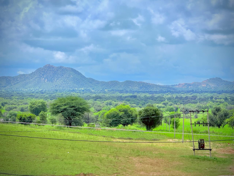 Khatu, Sikar photo 4