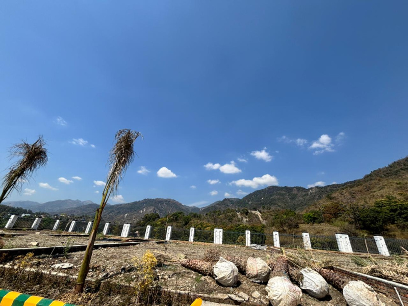  250 Sq. Yards Residential Plot for Sale in Sahastradhara