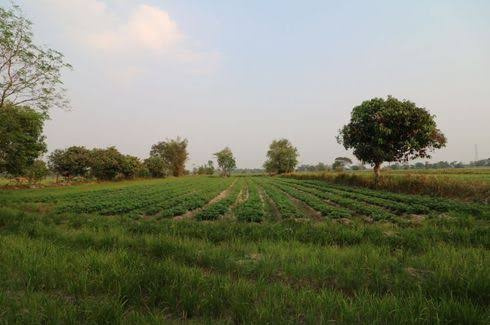  Agricultural Land 6 Acre for Sale in Lepakshi, Anantapur