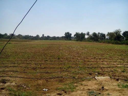  6 Acre Agricultural/Farm Land for Sale in Lepakshi, Anantapur