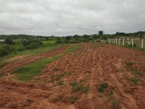  6 Acre Agricultural/Farm Land for Sale in Lepakshi, Anantapur