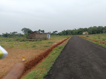  Residential Plot for Sale in Manakavalam Pillai Nagar, Tirunelveli