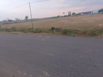 Residential Plot for Sale in Pettai, Tirunelveli
