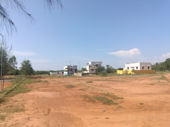  Residential Plot for Sale in Veeravanallur, Tirunelveli