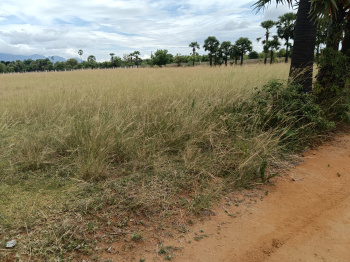  Agricultural Land for Sale in Ambasamudram, Tirunelveli