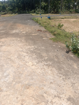  Residential Plot for Sale in Tenkasi, Tirunelveli