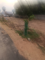 2 BHK House for Sale in Melapalayam, Tirunelveli