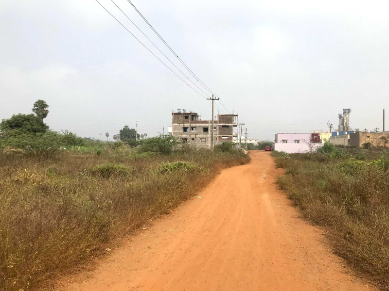  Residential Plot 3351 Sq.ft. for Sale in Mypadu Road, Nellore
