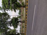  Residential Plot for Sale in New Moradabad